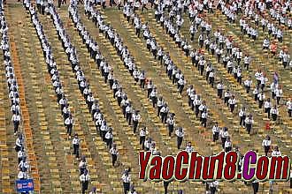 1.76��Ұ洫��