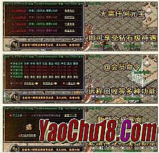 ���������̬װ��